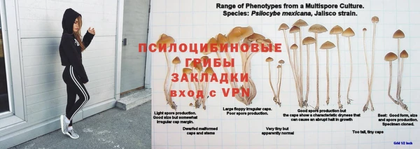 молекула духа Баксан